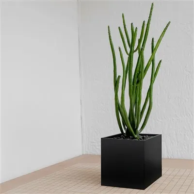 Vaso de flores de aço inoxidável plantador de jardim de metal